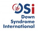 DSi-logo